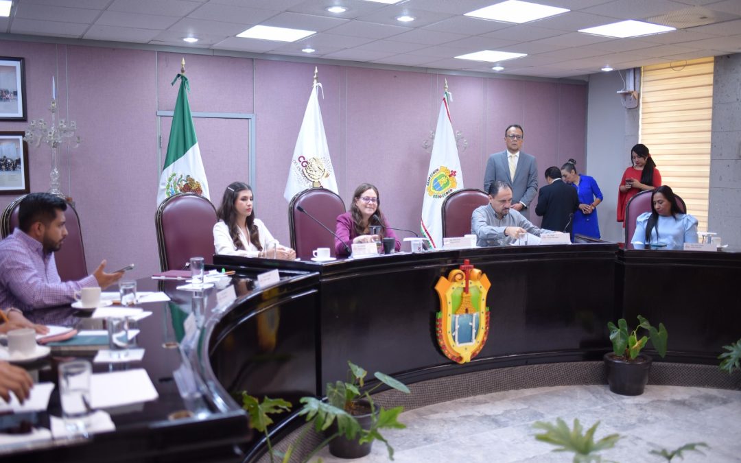 Reducirían ayuntamientos pago predial para quienes implementen azoteas verdes