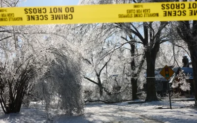 Una de las olas de frío más largas en décadas está por intensificarse con temperaturas récord que llegarán al sur de Florida