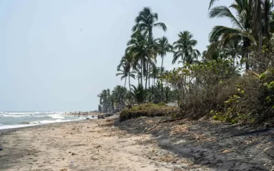 Así Descubrieron Derrame de Petróleo en el Golfo de México: Detallan Investigación de Pemex