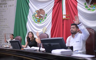 Aprueba Congreso reforma que facilita a las mujeres el acceso a la lactancia