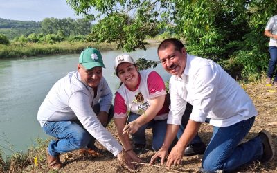 PEPE ARENAS PONE EN MARCHA PROGRAMA DE REFORESTACIÓN